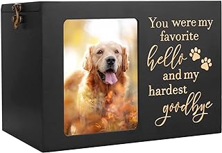 Best large urn for dogs ashes