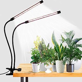 Best sunlight lamp for plants