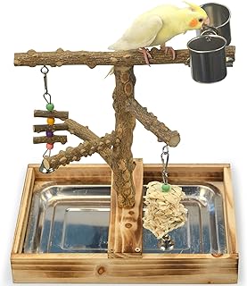 Best play stand for birds