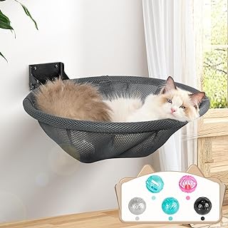 Best wall bed for cat