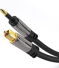 Best optical cable for echo studio