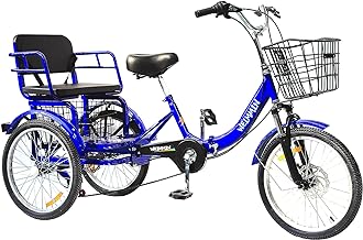 Best adult tricycle for men