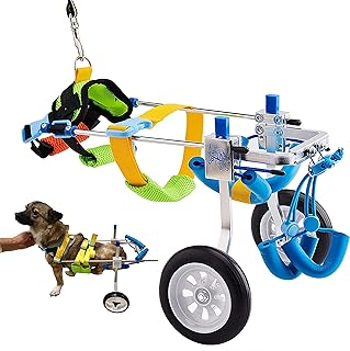 Best dog carts for disabled dogs