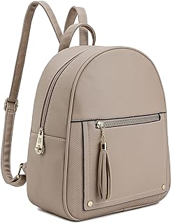 Best backpack for women purse