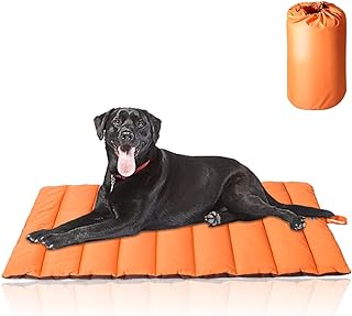 Best camping blanket for dogs