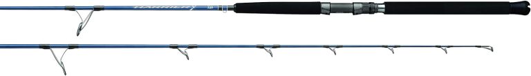 Best daiwa jigging rods