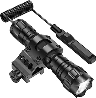 Best flashlight for gun rail