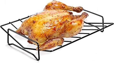 Best turkey roasting rack for grill