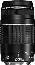 Best zoom lens for canon t7i