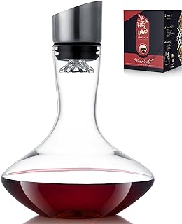 Best wine decanter for men