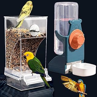 Best parrot feeder for bird cages