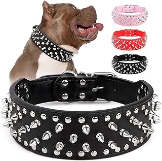 Best spiked dog collars