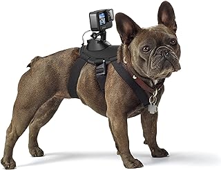 Best gopro harness for dogs