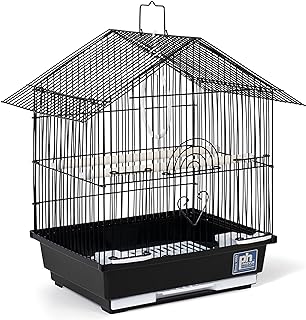 Best parakeet cage for 2 birds