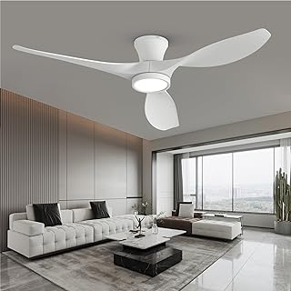 Best ceiling fan with dc motors