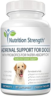 Best adrenal support for dogs cushing