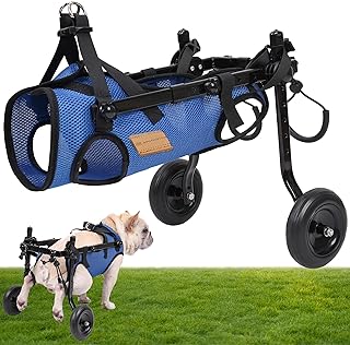 Best wheels for disabled dogs