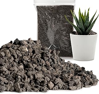 Best rocks for plant drainage