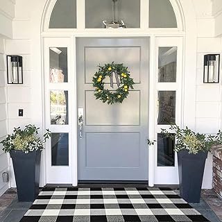 Best outdoor rug for front door