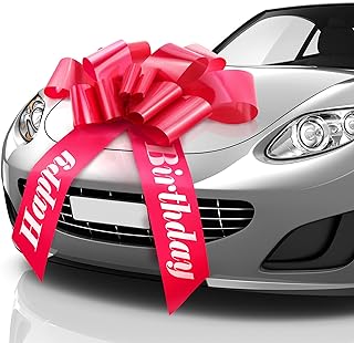 Best giant gift bow for car